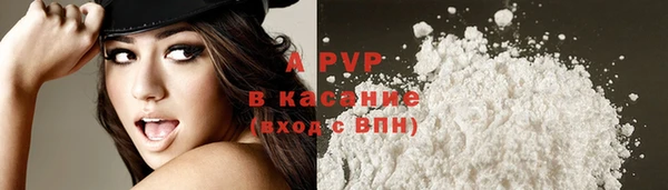 PSILOCYBIN Балахна