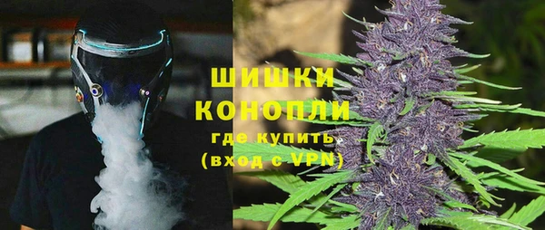 PSILOCYBIN Балахна